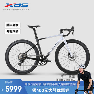 XDS 喜德盛 公路自行车RS500全隐藏内走线车架油压碟刹禧玛诺105碳纤前叉 太空银 480架高（身高165-175cm）