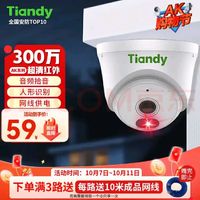 Tiandy 天地伟业 摄像头室外看护家用户外监控手机远程2K高清红外夜视IP67防水监控器AK系列55 C241N 4mm