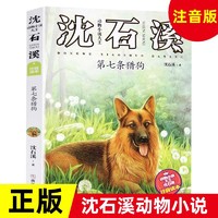 海豚之歌 沈石溪新书 狼王梦作者沈石溪动物小说全集 海洋题材温暖动物小说文学