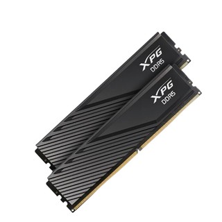 ADATA 威刚 XPG威龙 D300 DDR5 6000MHz 台式机内存条 32GB（16GB*2）海力士Adie颗粒 C30