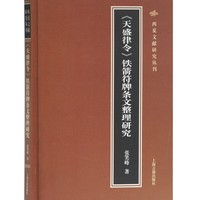 天盛律令 铁箭符牌条文整理研究