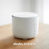 olayks 欧莱克 立时迷你电饭煲1到2到3人小型电饭锅家用2升