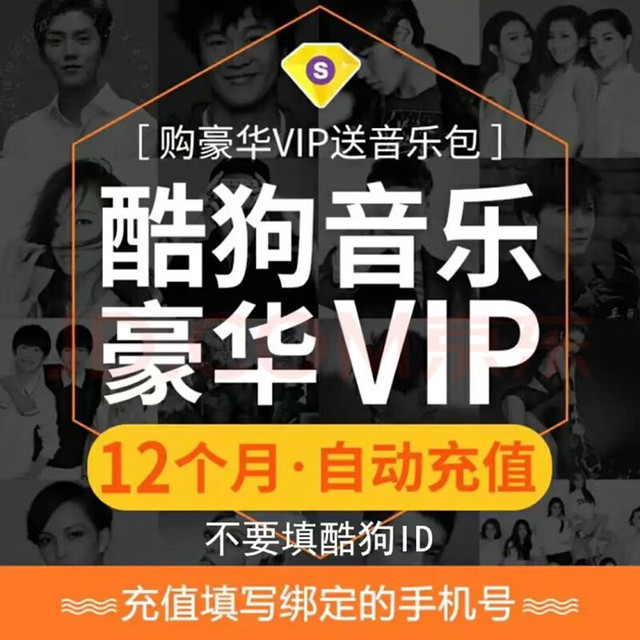酷狗音乐 豪华VIP会员12个月年卡