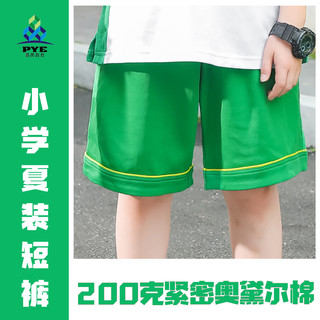 广州番禺区小学生校服夏季短袖短裤套装统一班服送校徽实验学校