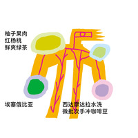 治光师 BEAM TIMER  柚子果肉埃塞俄比亚西达摩手冲咖啡豆黑咖啡100g