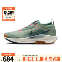 NIKE 耐克 男鞋跑步鞋秋季PEGASUS训练健身运动鞋日常休闲鞋FQ0908-300 FQ0908-300 39