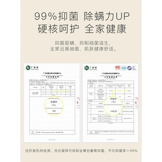 创京懿选2024bcv洗衣凝珠留香珠三合一香味持久除菌品牌洗衣液球 100颗带留香珠混装[薰衣草+樱花