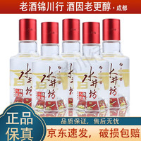 水井坊 臻酿八号 禧庆版小酒版 52度 100ml 浓香型白酒  100mL 5瓶