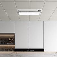 YOUPON 友邦集成吊顶 友邦（YOUPON）厨房凉霸冷风机换气照明一体无线遥控摆叶吹风扇集成吊顶DL002