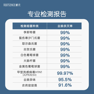 根元（ROOTSENSE）新年灯笼卫士冰箱除味器杀菌延长保鲜臭氧祛味空气净化机 灯笼卫士-雾蓝色