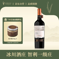 VENTISQUERO 冰川酒庄 珍藏赤霞珠干红葡萄酒安第斯山脉之魂 750ml 红酒单瓶装