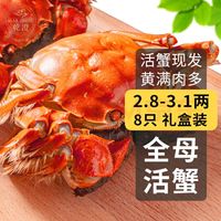 乾澄大闸蟹现货 全母蟹2.8-3.1两 8只 去绳净重鲜活生鲜海鲜国庆礼盒源头直发