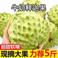 新鲜牛奶释迦果5斤当季热带水果大果番荔枝释迦佛头果非台湾1斤