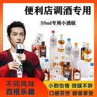 FELIPEGARI 菲利佰加 便利店调酒小瓶超小组合装小瓶洋酒伏特加基酒鸡尾酒女士酒10瓶装