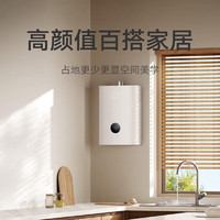 Xiaomi 小米 燃气热水器16LN1