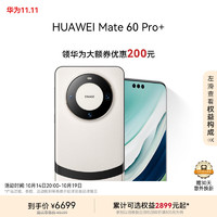 HUAWEI 华为 旗舰手机 Mate 60 Pro+ 16GB+256GB 宣白