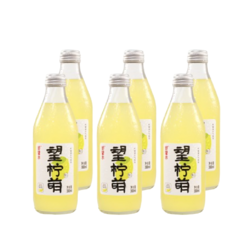 HOPE WATER 好望水 果汁气泡水望柠萌 300ml*6瓶