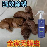 天蓝云上除螨喷雾青花椒床用被褥免洗免晒清香型母婴可用家庭必备