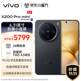 vivo X200 Pro mini 16GB+1TB 简黑