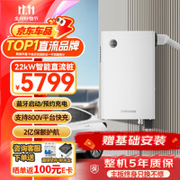 wattsaving 能效电气21kW直流充电桩T22适用于特斯拉快充问界M9小鹏蔚来极氪001红旗EQM5小米su7比亚迪秦PLUS T22B-22kW蓝牙版-壁挂式-静谧白