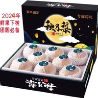 正宗山东莱阳 秋月梨 5斤彩箱装5-7个