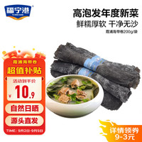 福宁港霞浦海带卷200g 干海带日晒烘干海产干货火锅食材需泡发 源头直发 【霞浦地标】干海带卷200g