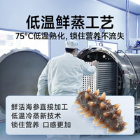 【7星级】即食海参大连海参开袋鲜活辽参海生野生海参500g