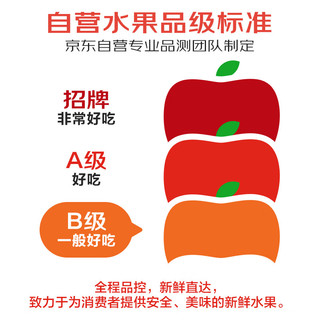 京鲜生 云南哀牢山 高山冰糖橙1.5斤 单果100g起 源头直发