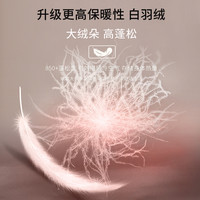 2＆MY 保暖内衣男士冬季加厚加绒德自发热2024无痕打底秋衣秋裤套装