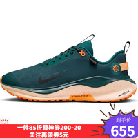 NIKE 耐克 男子跑步跑步鞋FB2204-300 FB2204-300 42