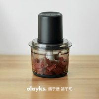 olayks 欧莱克 立时绞肉机家用电动小型多功能全自动搅拌机碎肉打馅蒜泥机1.2L