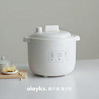 olayks 欧莱克 立时微压电炖盅2.5升家用电炖锅煲汤全自动炖汤锅煮粥神器