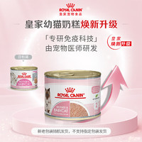 ROYAL CANIN 皇家 奶糕猫罐头 195*23罐     赠：幼猫湿粮85g*2罐