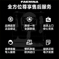 飞马 FAEMA/飞马 意式半自动咖啡机原装进口小型家商用单头电控Faemina