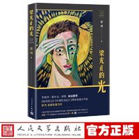 官方正版 梁光正的光 梁鸿 著 长篇小说 正版书籍 现实主义力作