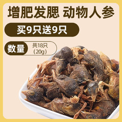 雅礼颂 鹌鹑冻干狗狗零食磨牙洁齿增肥发腮营养补钙冻干生骨肉拌粮狗零食