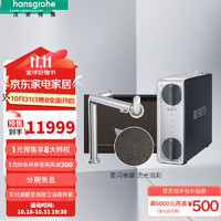 汉斯格雅（Hansgrohe）石槽厨房龙头M91+净水器石槽套装30天 M91+净水器-L型-魅古棕