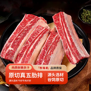 牧场君新鲜牛肋排黄膘牛肋排牛排骨黄牛肉生鲜SMZDM 净重5斤 四肋牛排7