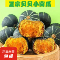 京喜加 山东贝贝南瓜 100g+  2斤 ±30g 5个南瓜 2斤 ±30g