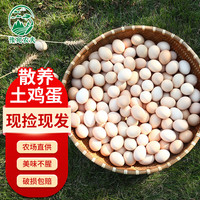豫宛农夫新鲜散养土鸡蛋 谷物喂养柴鸡蛋生鲜 15枚装 20枚800g