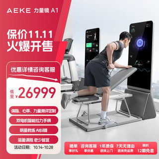 AEKE 力量镜A1  智能健身镜多功能家用全身运动 A1力量镜套装版灰