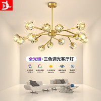D&L 水晶吊灯全光谱轻奢魔豆分子灯客厅灯餐厅灯卧室灯灯具全屋套 铜吊灯 15头 配送三色光源