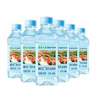 名仁堂 苏打水原味375ml*24瓶