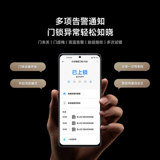 小米智能门锁M30Pro 指纹锁AI掌静脉识别 密码锁入户门电子锁人脸解锁 小米智能门锁M30 Pro