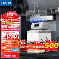 Haier 海尔 中央软水机家用小型厨下式全自动前置全屋净水软水系统大流量套装软化水除（赠水动力前置）