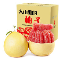 食九月 土八鲜 南非西柚 6枚 单果约250-350g