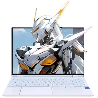 以旧换新补贴、88VIP：机械革命 耀世15 Pro 15.3英寸游戏本（i9-13900HX、32GB、1TB、RTX4060）