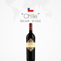 CHATEAU LAFITE ROTHSCHILD 拉菲古堡 智利查德威克酒庄正牌干红2013年Vinedo Chadwick