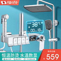 FUJIANG 福降 淋浴花洒套装三件套喷头喷枪套装沐浴四档切换白色钢琴按键 奢华银·智能恒温数显按键花洒