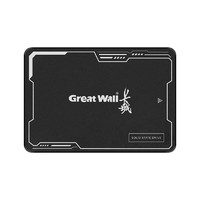 Great Wall 长城 SSD固态硬盘CS20 2.5英寸SATA3.0接口 1TB 高速TLC颗粒